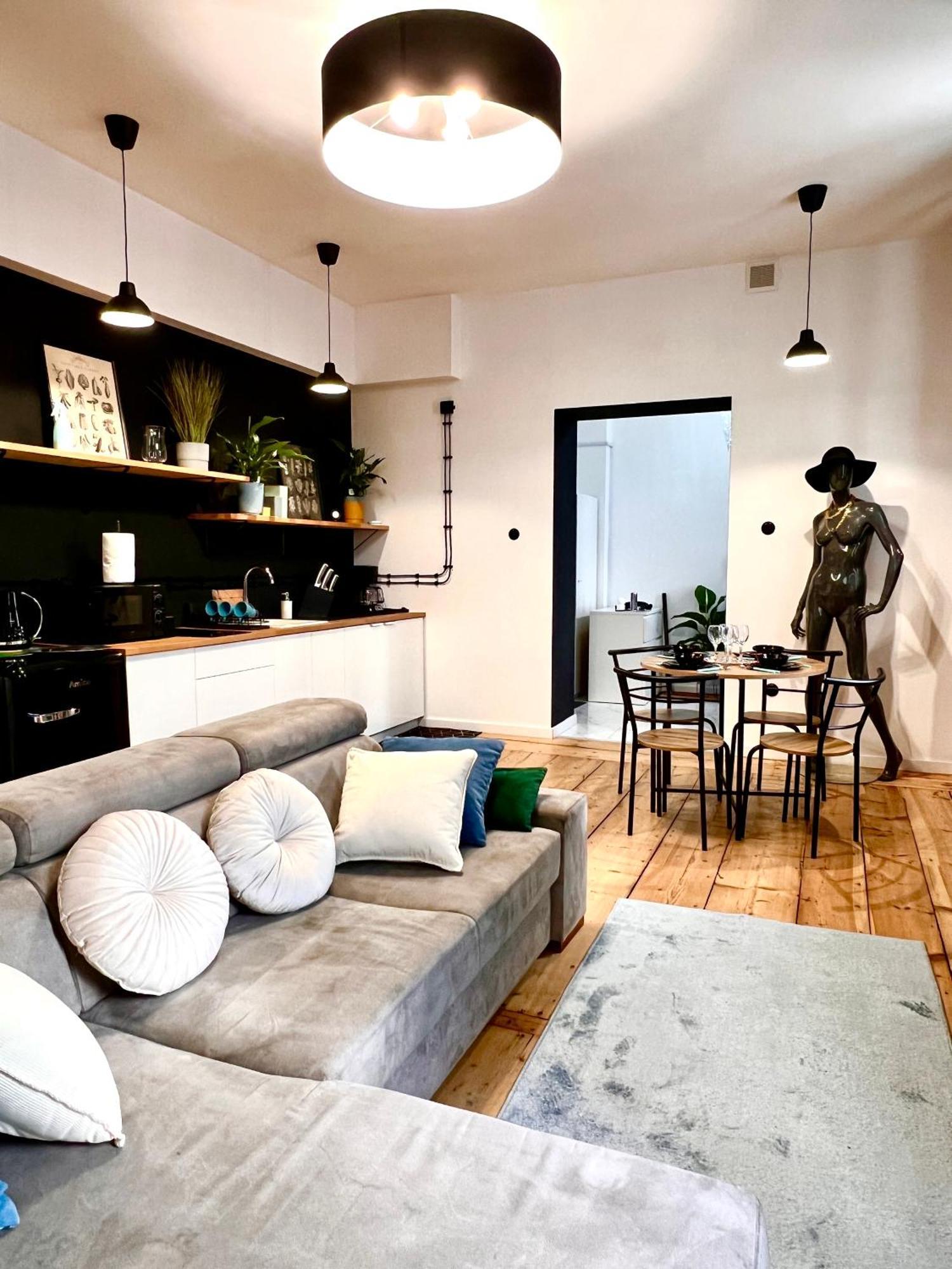 Apartament Manekin Piotrkowska 65 *